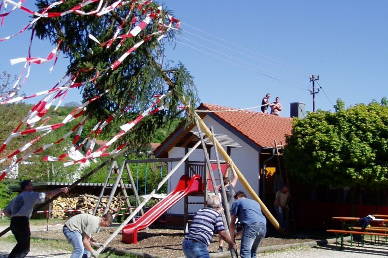 Vereinsmitglieder stellen den Maibaum auf