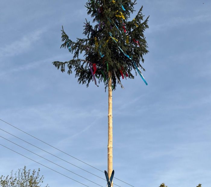 Maibaum mit gekreuzten Ski